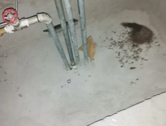 吐鲁番卫生间测漏水价格明细